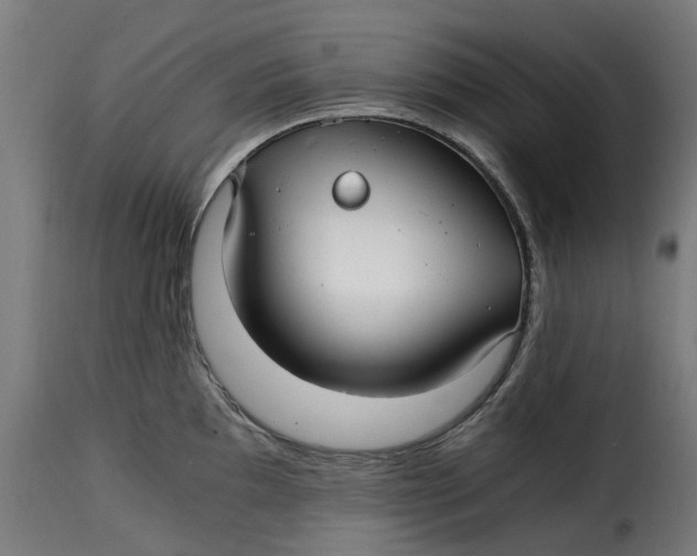 X0000115261097200911201700