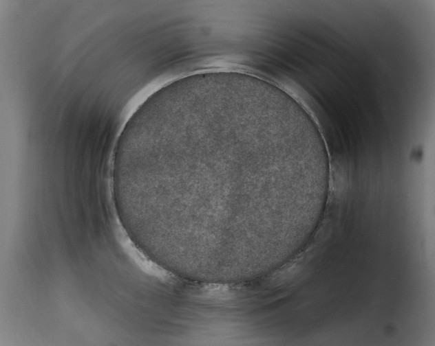 X0000115261098200911201700