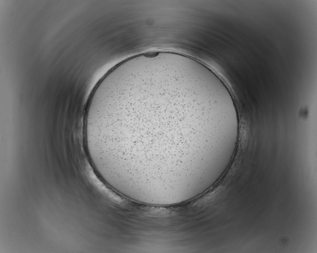 X0000115261100200911201700