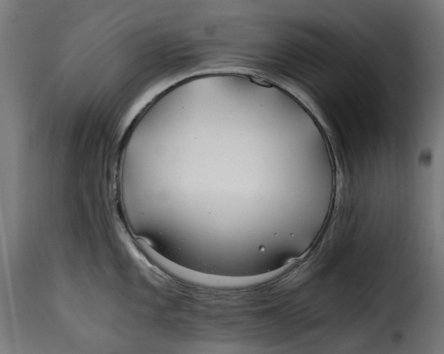 X0000115261101200911201700