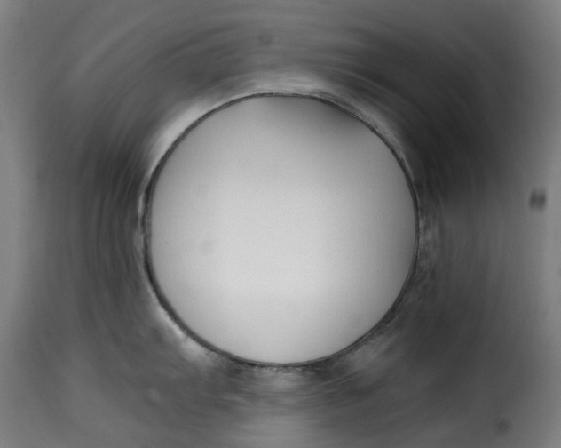 X0000115261103200911201700