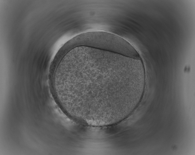 X0000115261104200911201700