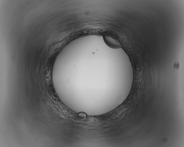 X0000115261109200911201659