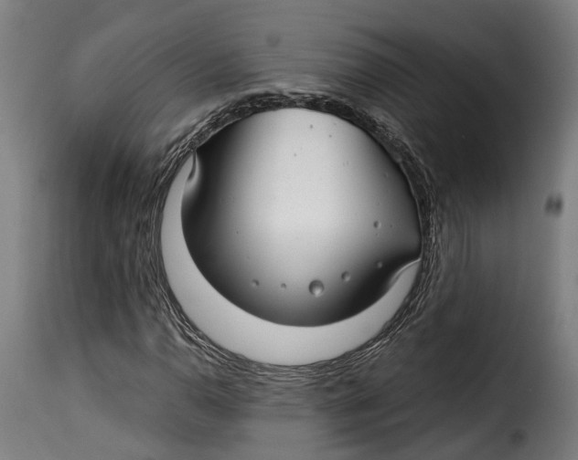 X0000115261110200911201659