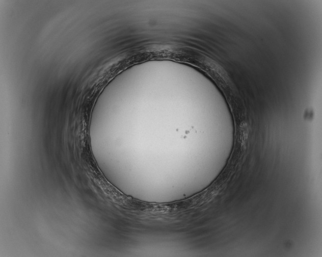 X0000115261111200911201659