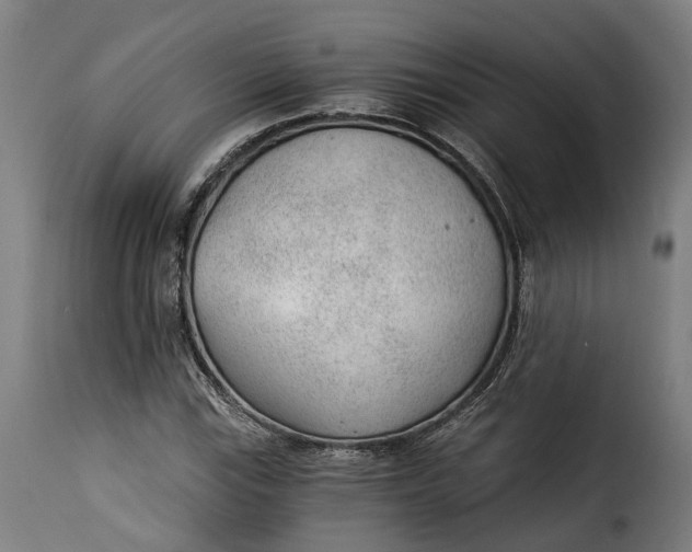 X0000115261115200911201659