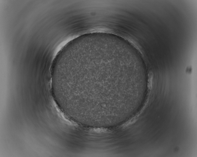 X0000115261117200911201659