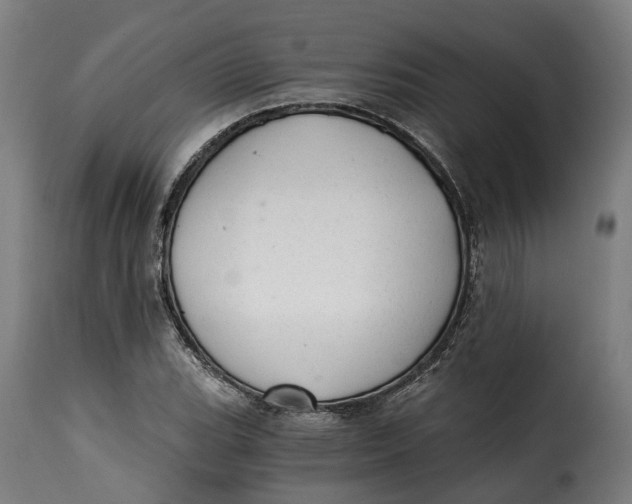 X0000115261119200911201659