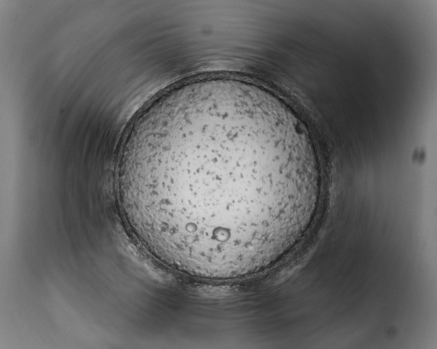X0000115261121200911201659