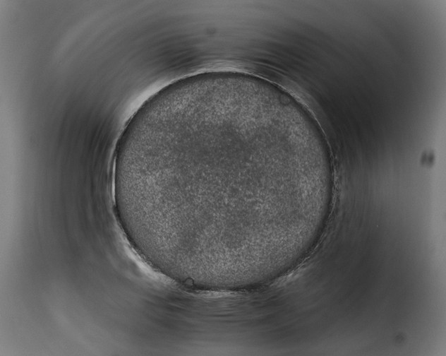 X0000115261127200911201659