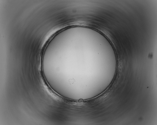 X0000115261131200911201659