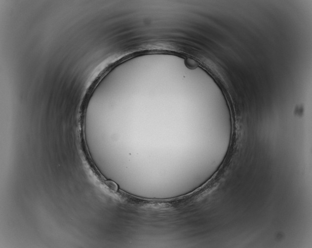 X0000115261133200911201659