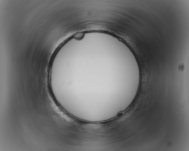 X0000115261134200911201659