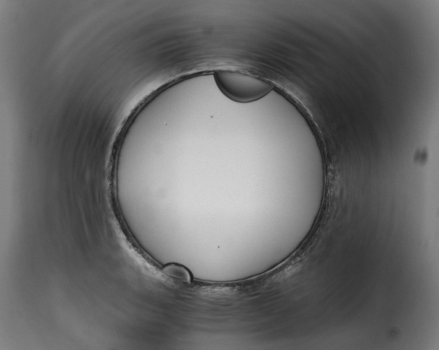 X0000115261135200911201659