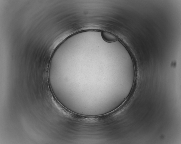 X0000115261137200911201659
