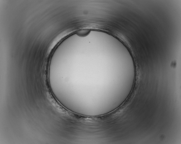 X0000115261138200911201659