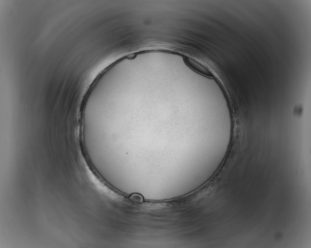 X0000115261143200911201659