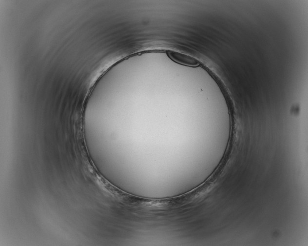 X0000115261145200911201659