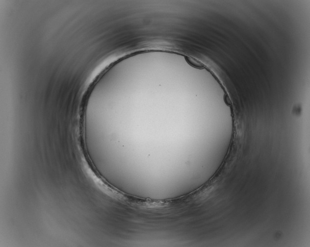 X0000115261147200911201659