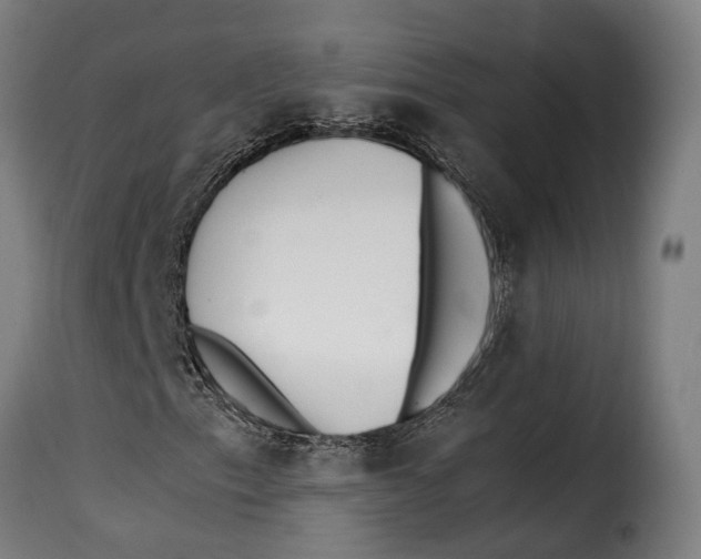 X0000115261153200911201659