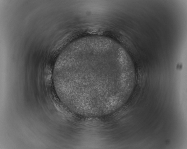 X0000115261154200911201659