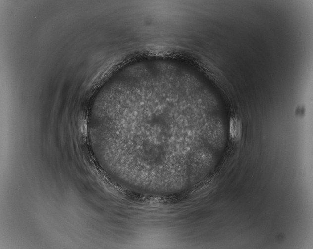 X0000115261155200911201659