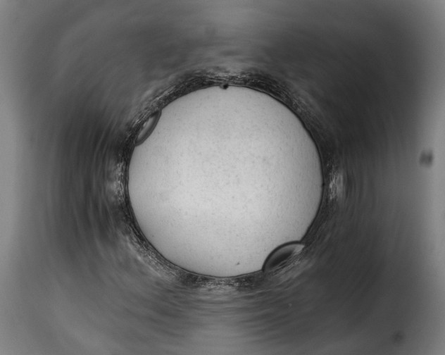 X0000115261156200911201659