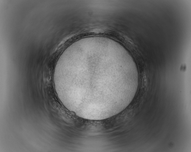 X0000115261158200911201659