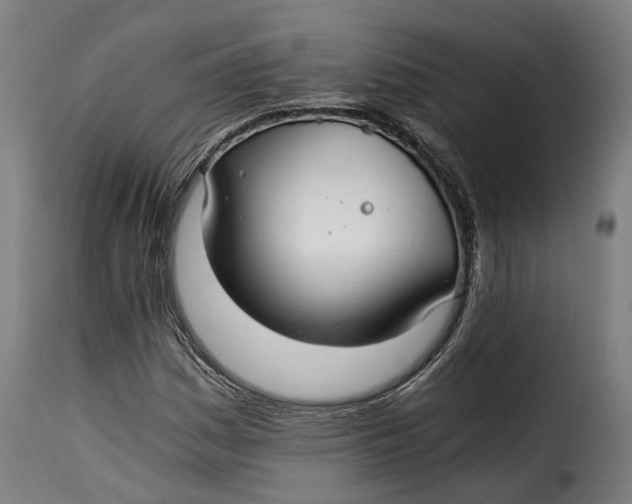 X0000115261161200911201659