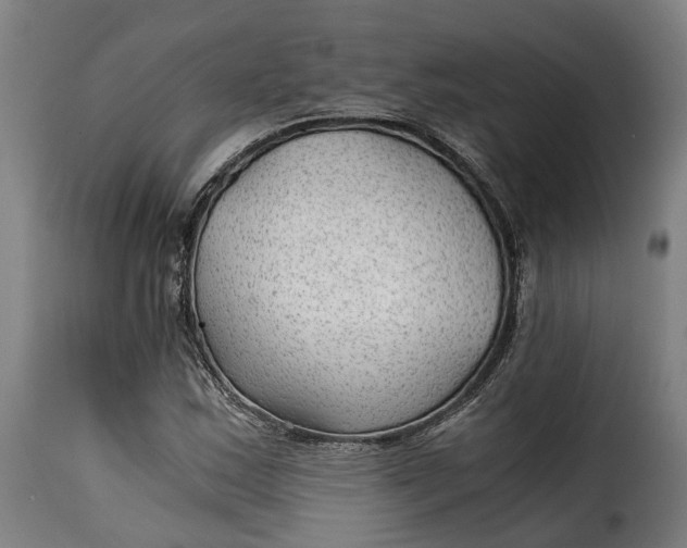 X0000115261163200911201659