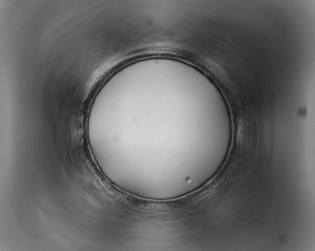 X0000115261164200911201659
