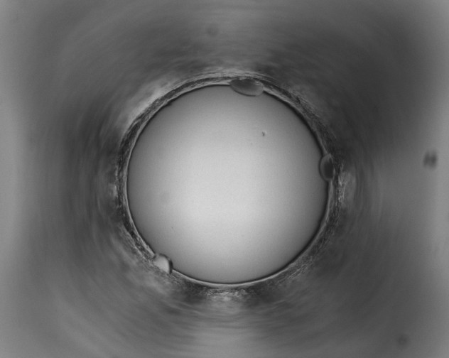 X0000115261165200911201659