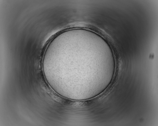 X0000115261166200911201659