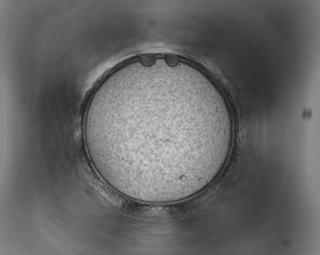 X0000115261167200911201659