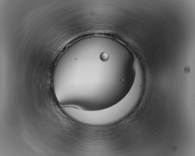 X0000115261169200911201658