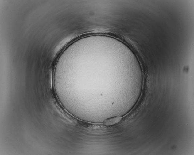 X0000115261171200911201658
