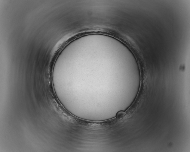 X0000115261172200911201658