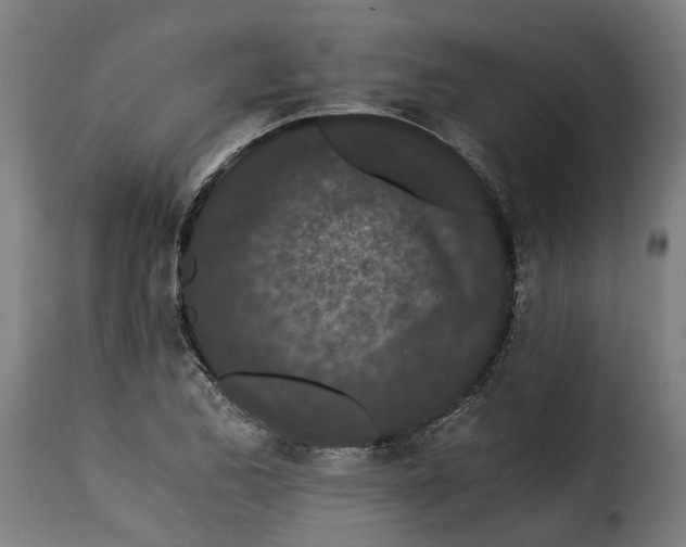 X0000115261173200911201658