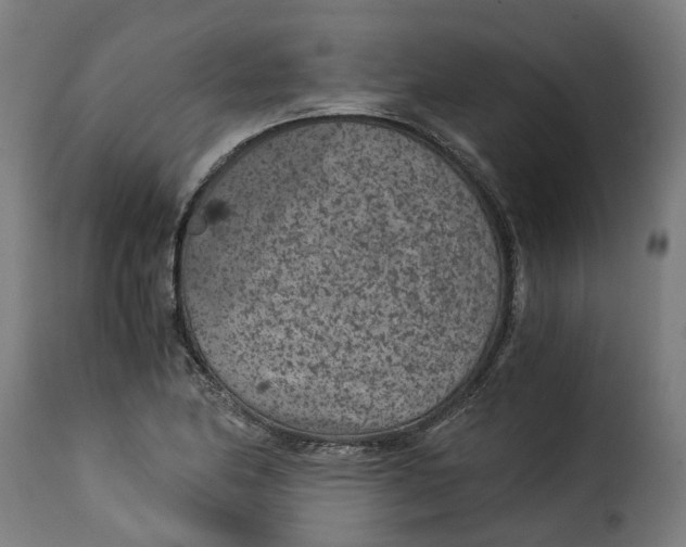 X0000115261174200911201658