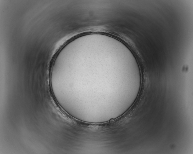 X0000115261176200911201658