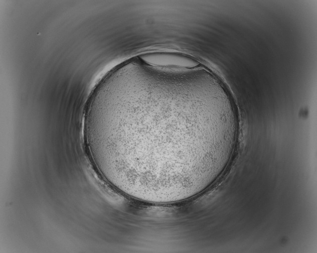 X0000115261179200911201658