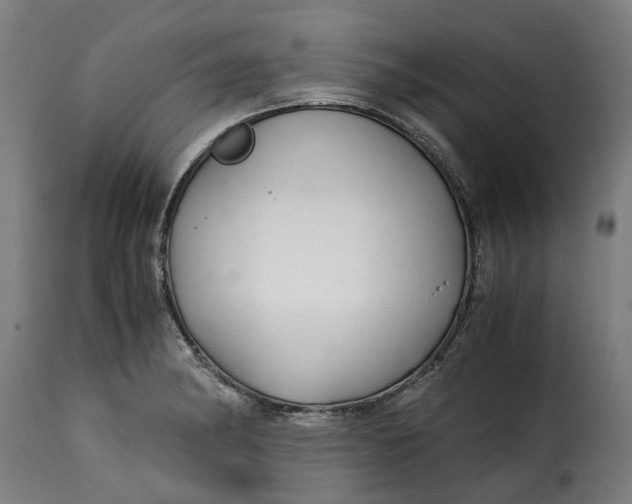 X0000115261182200911201658