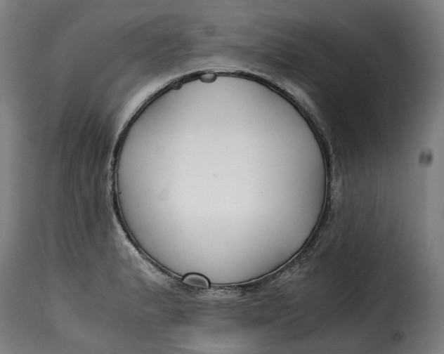X0000115261183200911201658