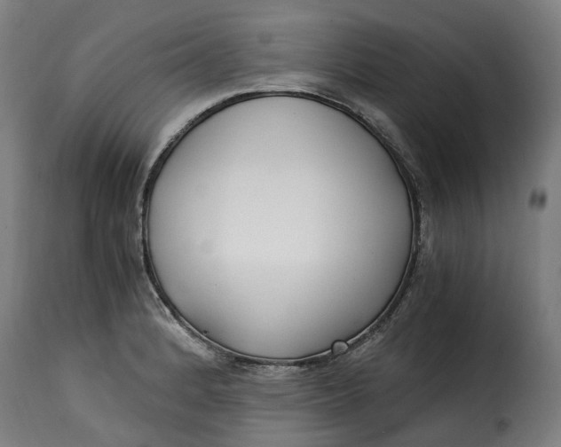 X0000115261184200911201658
