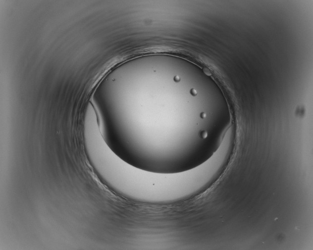 X0000115261185200911201658
