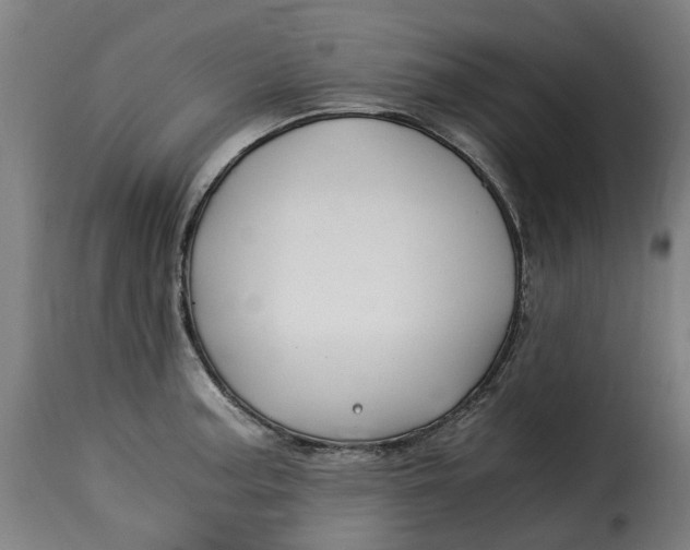 X0000115261187200911201658