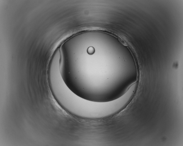 X0000115261189200911201658
