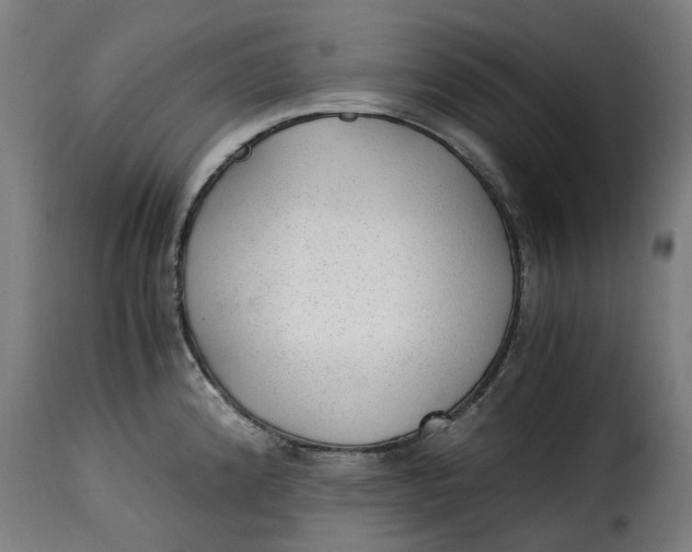 X0000115261192200911201658