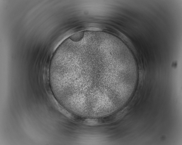 X0000115261194200911201658