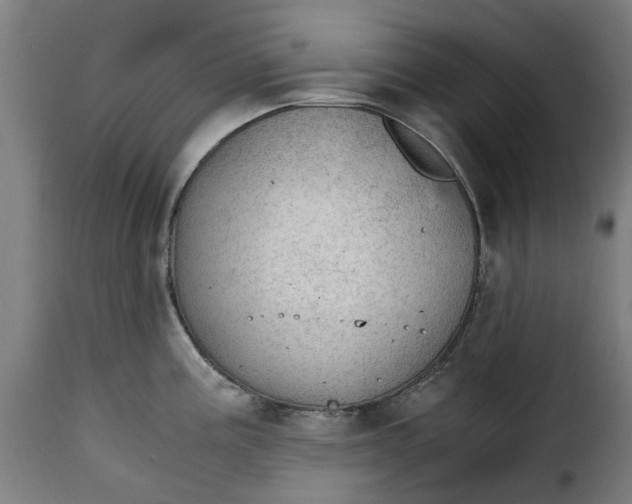 X0000115261195200911201658